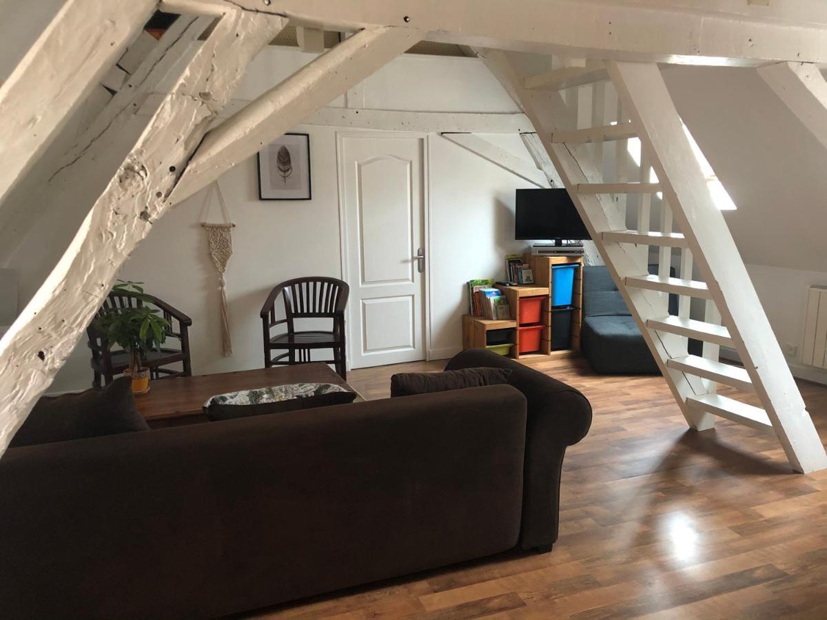 Le Grand Appartement - 90M2- 2 Chb , 1 Mezzanine - 6Pers Romorantin-Lanthenay Exteriér fotografie